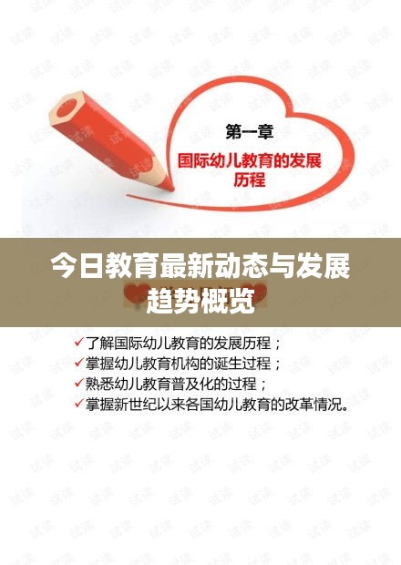 笨鸟先飞 第2页