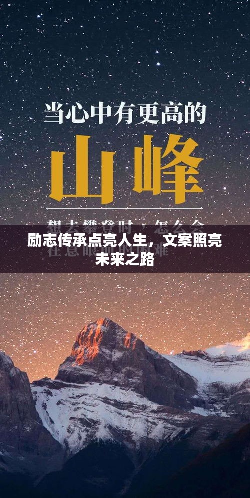 雅量高致 第2页