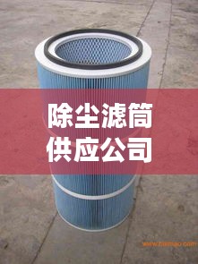 除尘滤筒供应公司排行榜及行业影响力深度解析