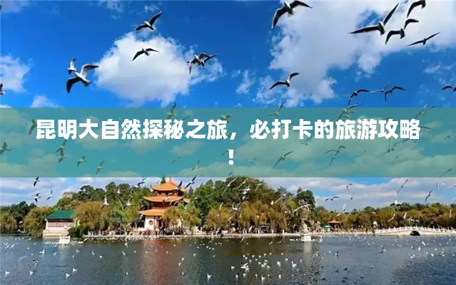急就章 第2页