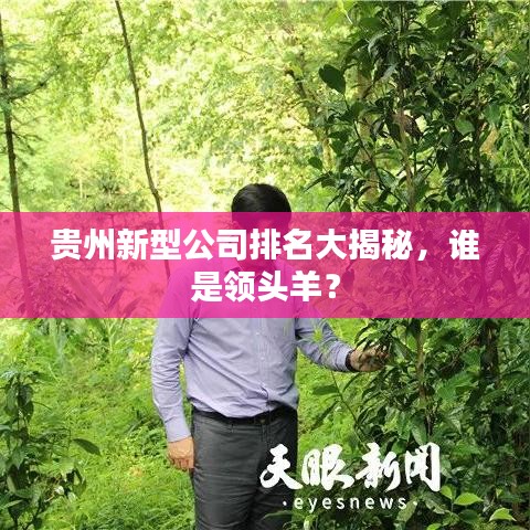 虚张声势 第3页