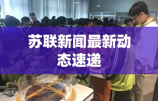 鸟啼花怨 第2页
