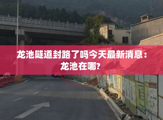 龙池隧道封路了吗今天最新消息：龙池在哪? 