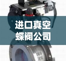 进口真空蝶阀公司排行榜及行业影响力解析