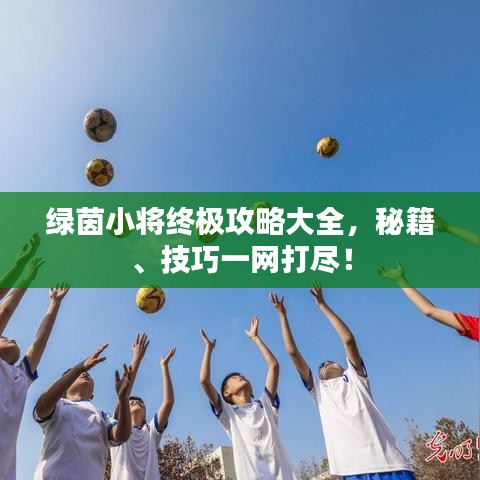 翰飞戾天 第2页