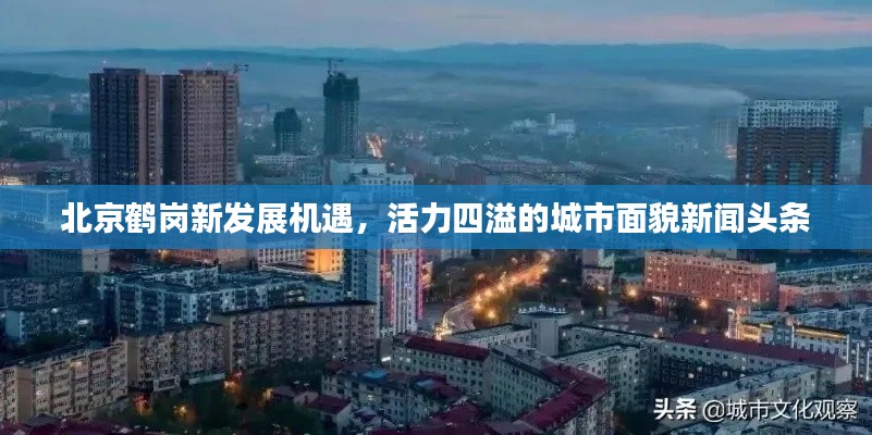 北京鹤岗新发展机遇，活力四溢的城市面貌新闻头条