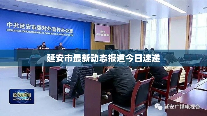 延安市最新动态报道今日速递