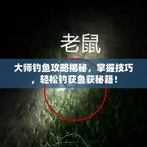 大师钓鱼攻略揭秘，掌握技巧，轻松钓获鱼获秘籍！