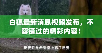 张弛不定 第2页