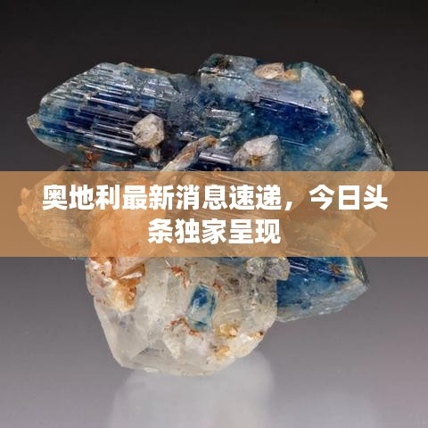 奥地利最新消息速递，今日头条独家呈现