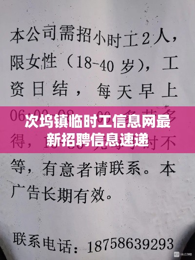 次坞镇临时工信息网最新招聘信息速递
