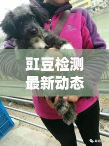 豇豆检测最新动态，今日消息一网打尽