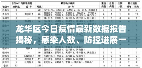 龙华区今日疫情最新数据报告揭秘，感染人数、防控进展一网打尽