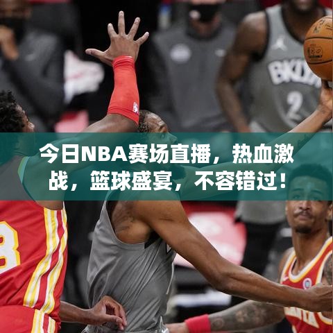 澹泊明志 第2页