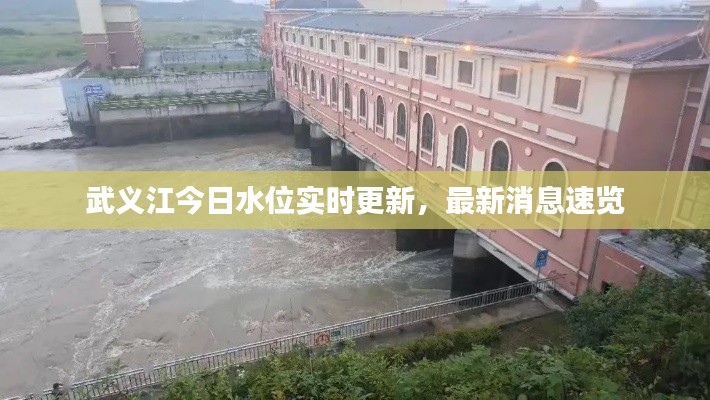 钗荆裙布 第2页