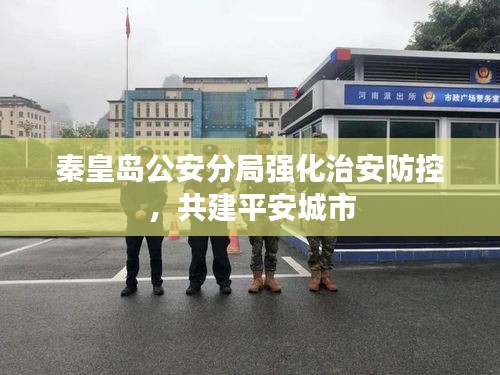 秦皇岛公安分局强化治安防控，共建平安城市