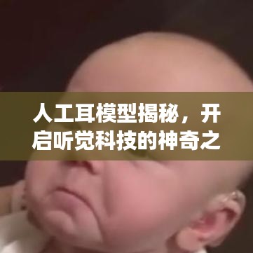人工耳模型揭秘，开启听觉科技的神奇之旅探索