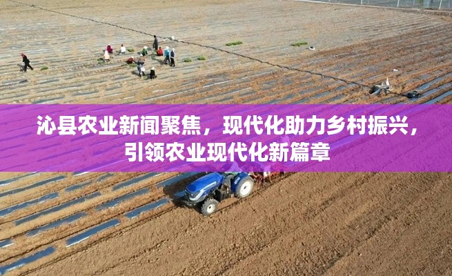 母以子贵 第2页