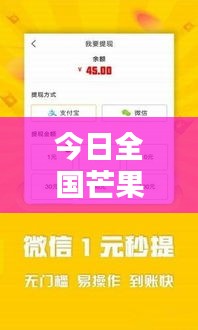 今日全国芒果行情实时更新，最新直播报道全解析