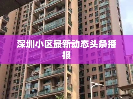 深圳小区最新动态头条播报