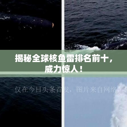 不求甚解 第2页