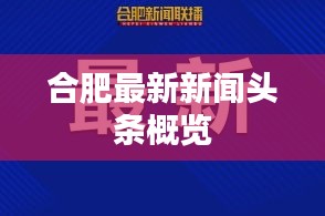 合肥最新新闻头条概览