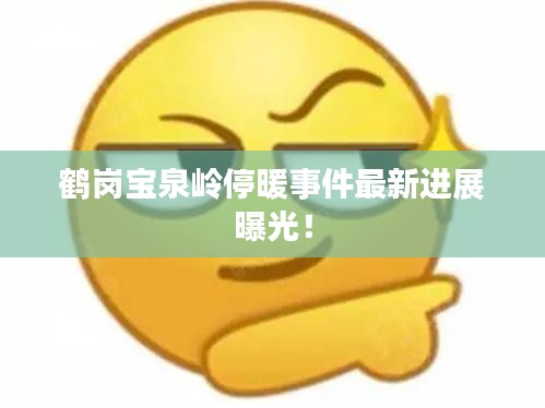 鹤岗宝泉岭停暖事件最新进展曝光！