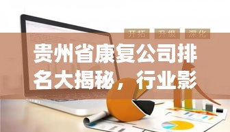 贵州省康复公司排名大揭秘，行业影响力不容小觑！
