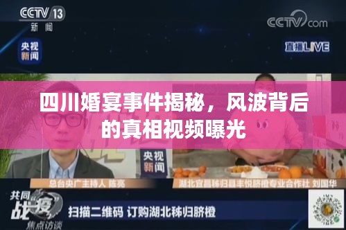 四川婚宴事件揭秘，风波背后的真相视频曝光