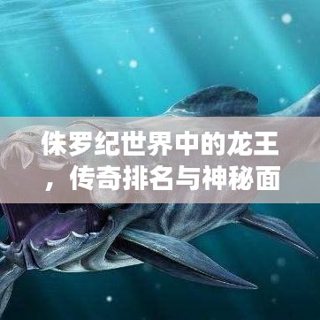 侏罗纪世界中的龙王，传奇排名与神秘面纱全揭秘