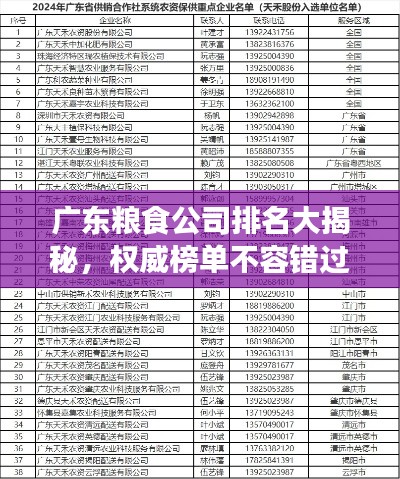 广东粮食公司排名大揭秘，权威榜单不容错过！