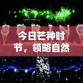 今日芒种时节，领略自然神韵，最新图片大赏
