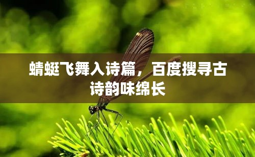 蜻蜓飞舞入诗篇，百度搜寻古诗韵味绵长