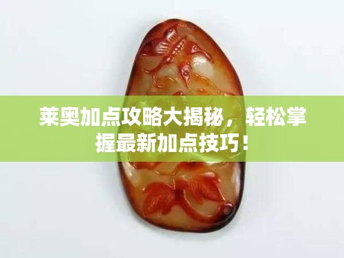 莱奥加点攻略大揭秘，轻松掌握最新加点技巧！