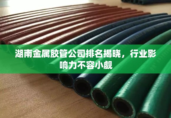 湖南金属胶管公司排名揭晓，行业影响力不容小觑