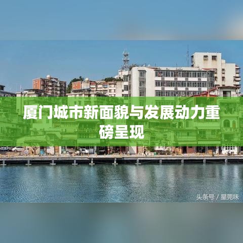 厦门城市新面貌与发展动力重磅呈现