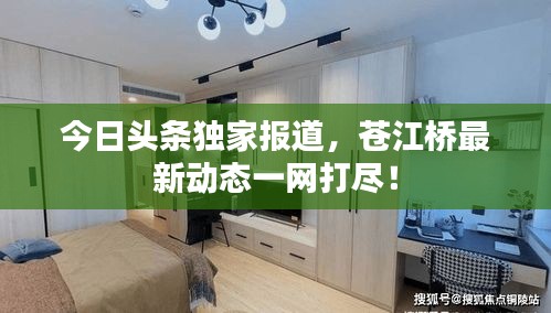 今日头条独家报道，苍江桥最新动态一网打尽！