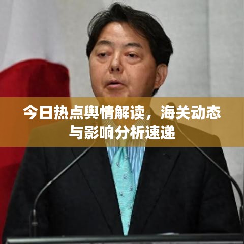 今日热点舆情解读，海关动态与影响分析速递