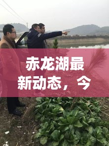 赤龙湖最新动态，今日新闻头条消息速递
