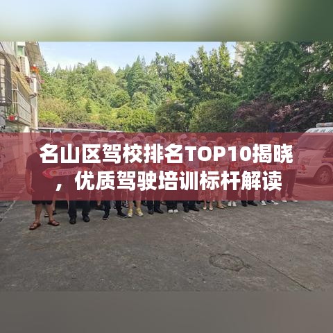 越鸟南栖 第2页