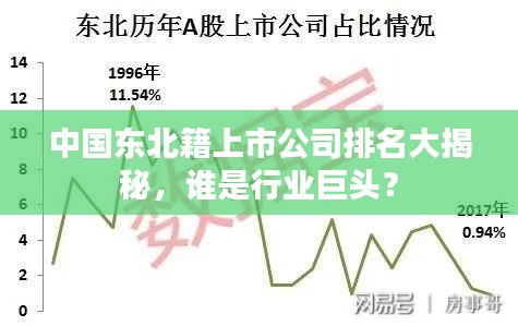 中国东北籍上市公司排名大揭秘，谁是行业巨头？