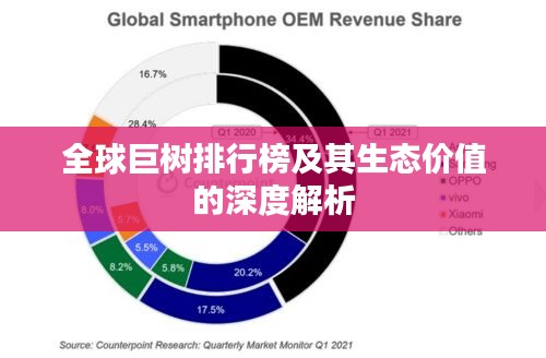 全球巨树排行榜及其生态价值的深度解析