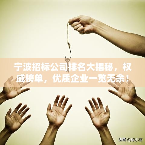 宁波招标公司排名大揭秘，权威榜单，优质企业一览无余！