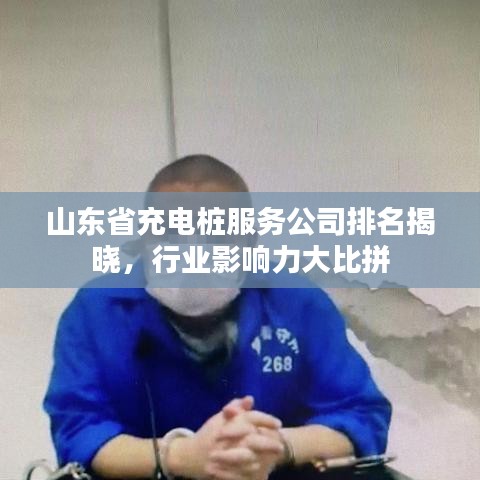 山东省充电桩服务公司排名揭晓，行业影响力大比拼
