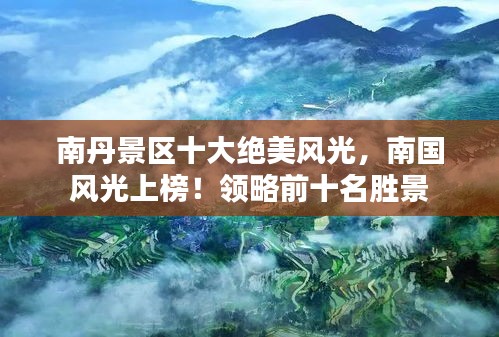 云龙井蛙 第2页