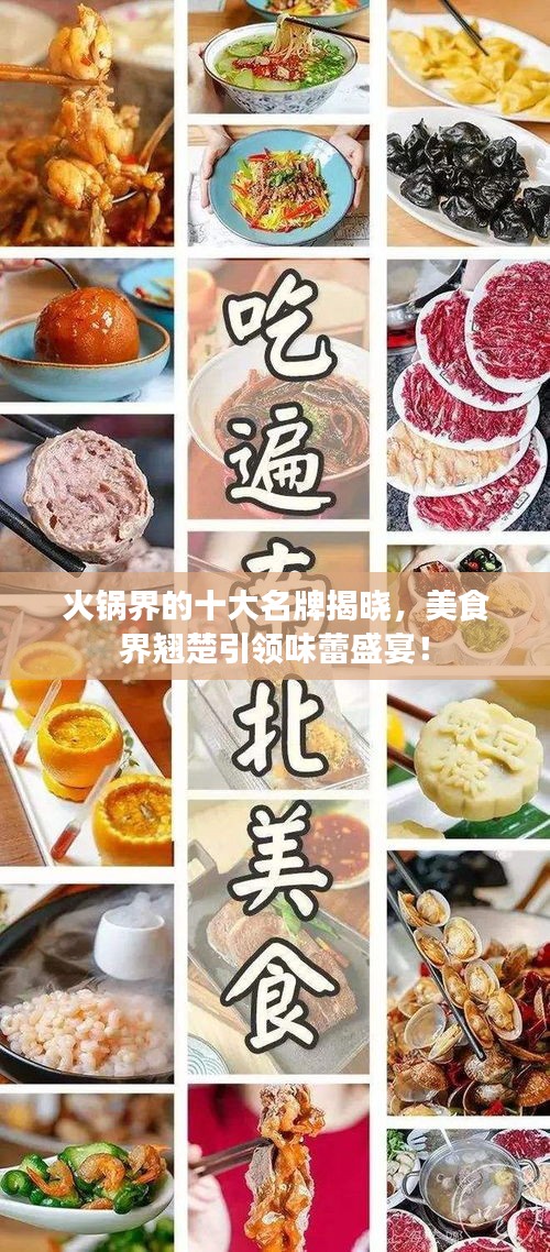 火锅界的十大名牌揭晓，美食界翘楚引领味蕾盛宴！