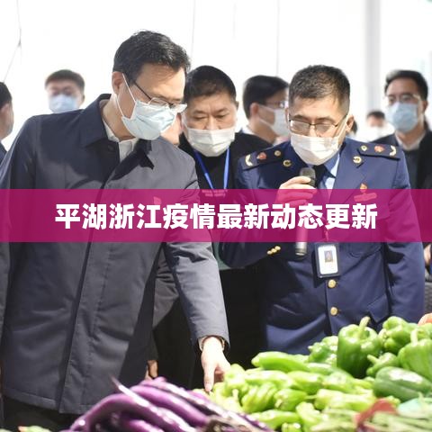 平湖浙江疫情最新动态更新