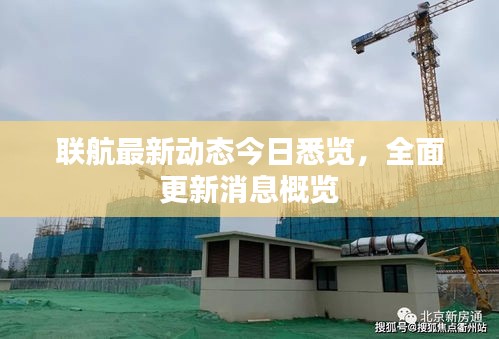 联航最新动态今日悉览，全面更新消息概览