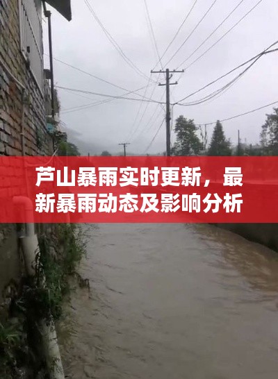 芦山暴雨实时更新，最新暴雨动态及影响分析
