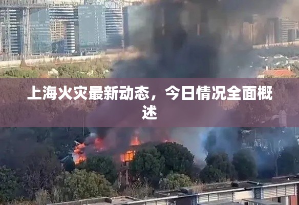 上海火灾最新动态，今日情况全面概述